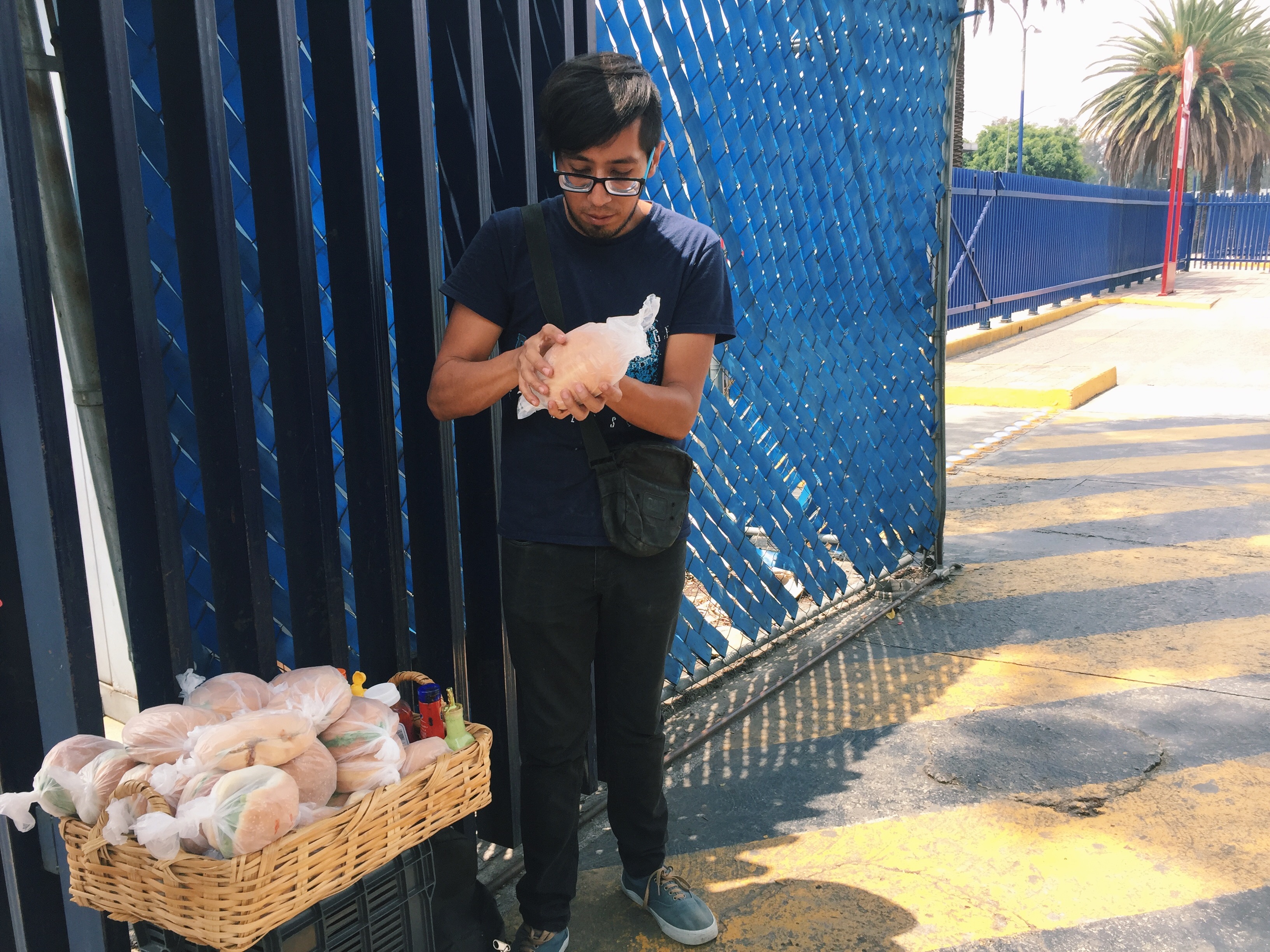 carmina tiscareño - les insolites