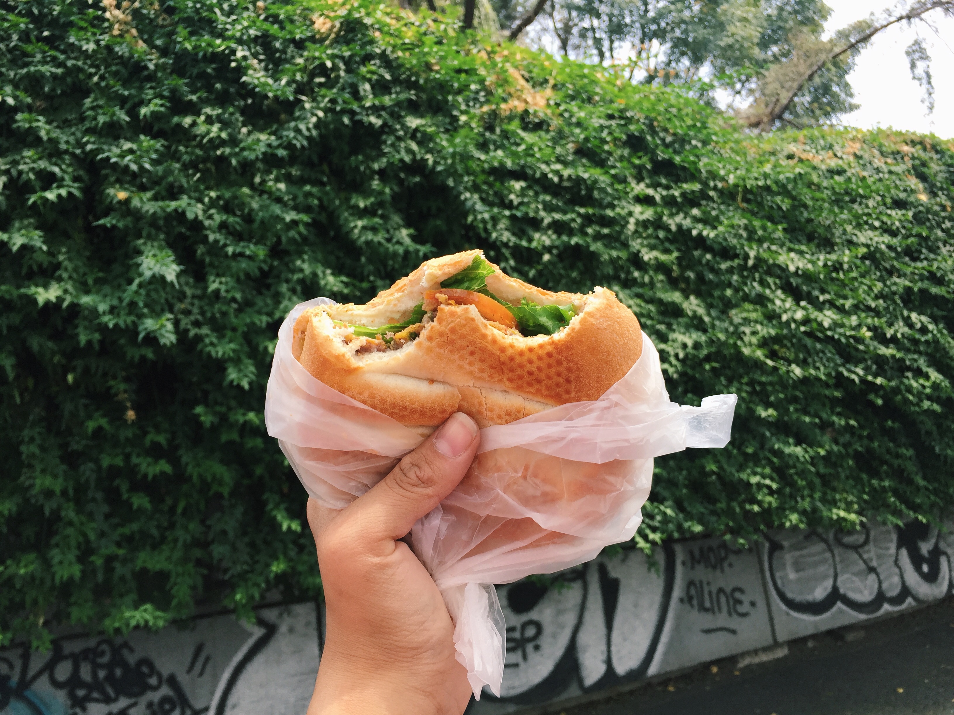 carmina tiscareño - torta